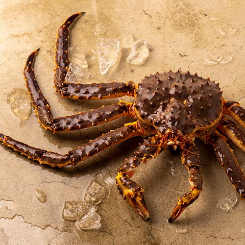 Live King Crab 활 킹크랩 [레드] 2.5kg(2.4-2.6kg)